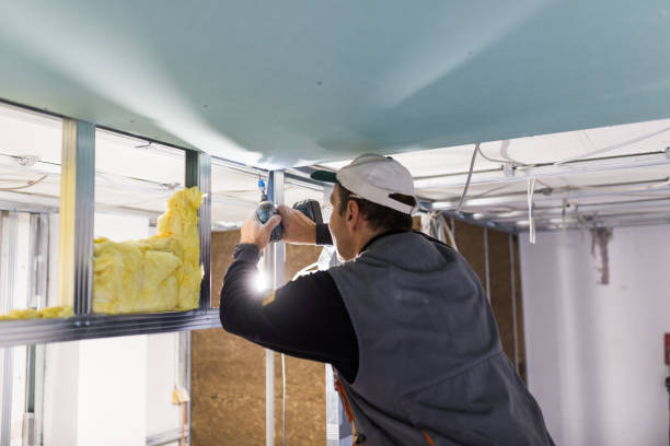 Best Eco-Friendly Insulation in Croom, MD