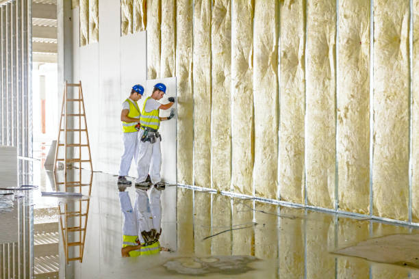 Best Geographic-Specific Insulation Services in Croom, MD